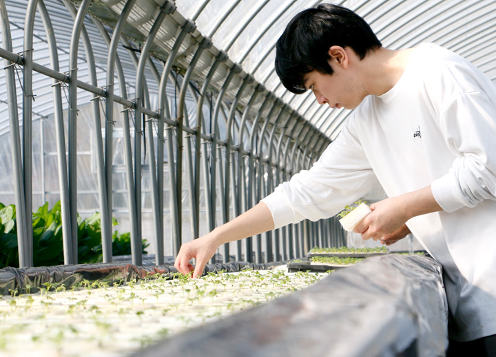 生産工程（種付け・育苗・定植）