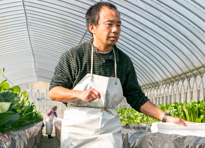 溶液管理・栽培管理