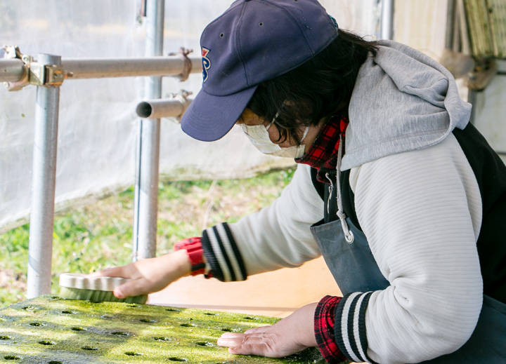 地域の農家さんのお手伝い