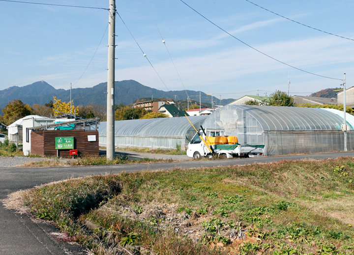 レクリエーション