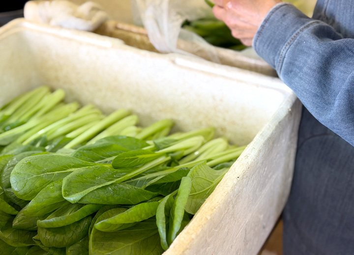 シーラー・箱詰め