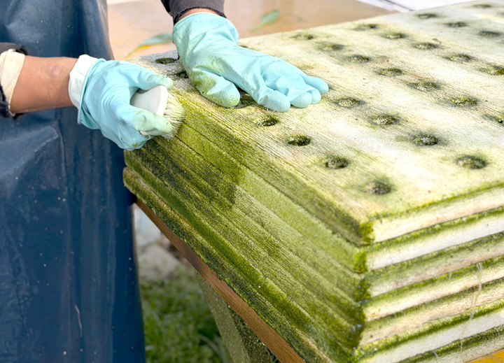 農作業全般・片付け