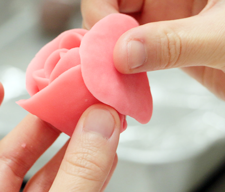 えんの活動風景